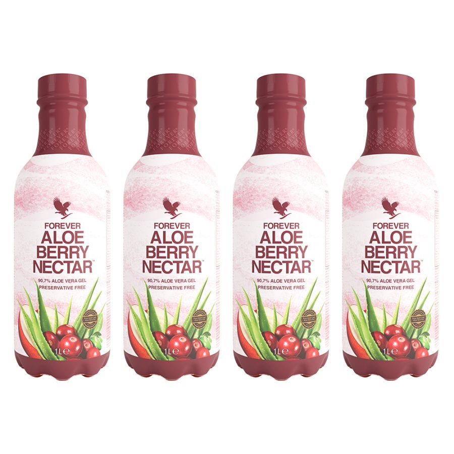 4-Pack Aloe Berry Nectar