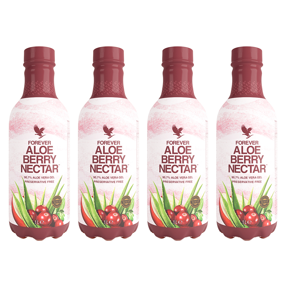 4-Pack Aloe Berry Nectar - Image 2